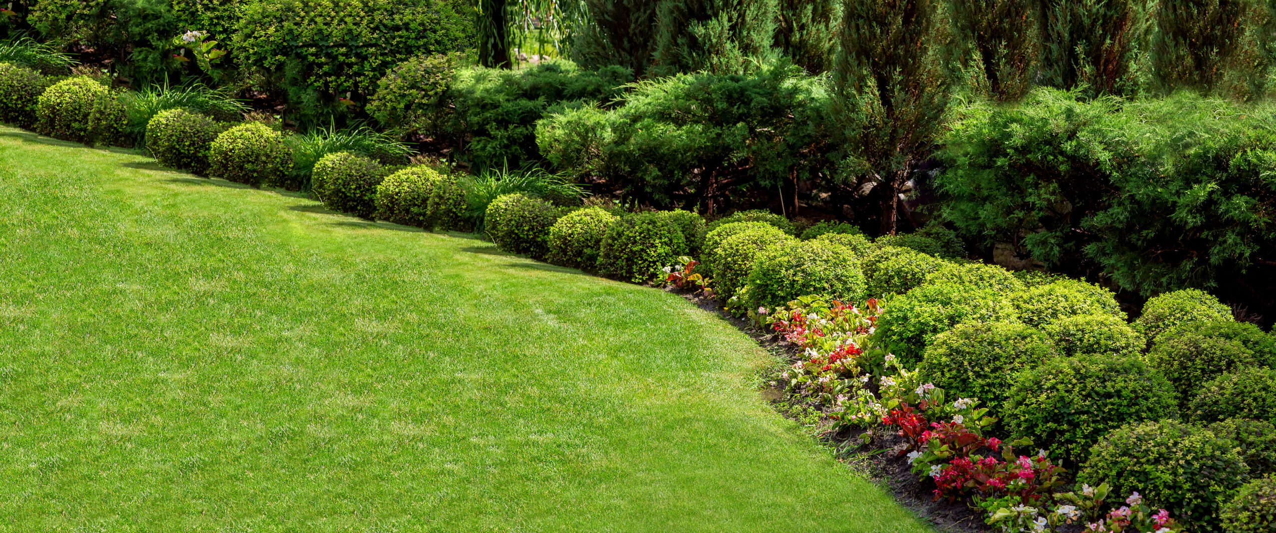 well maintained garden landscape with flower bed of green bushes and green meadow lawn on sunny summer park with a lot plants, nobody.