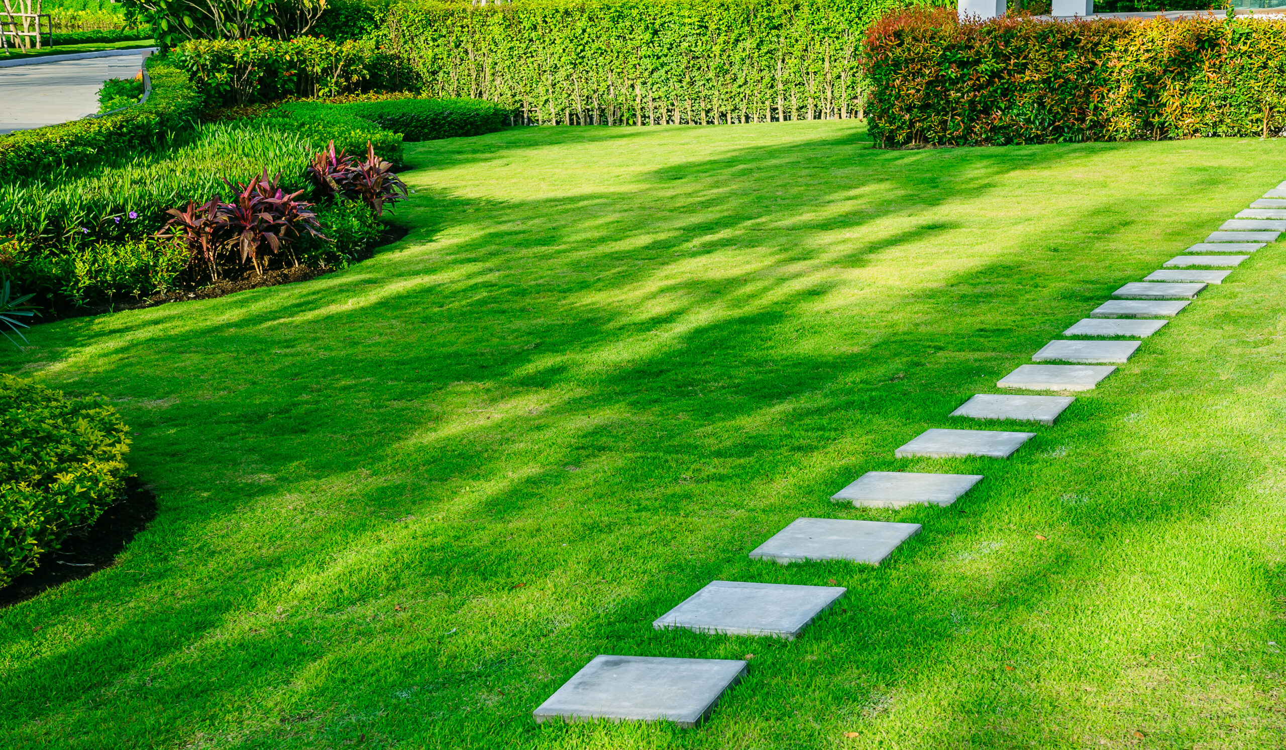 Pathway in garden,green lawns with bricks pathways,garden landscaping